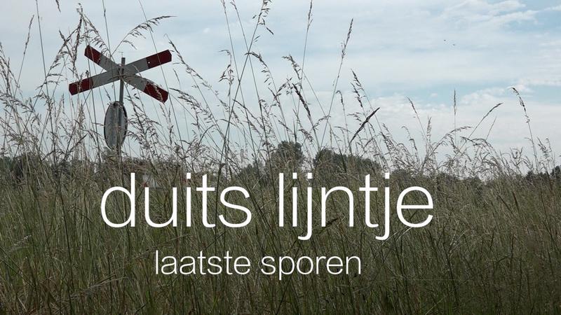 duits lijntjegroot