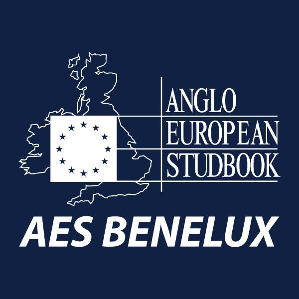 AESBenelux