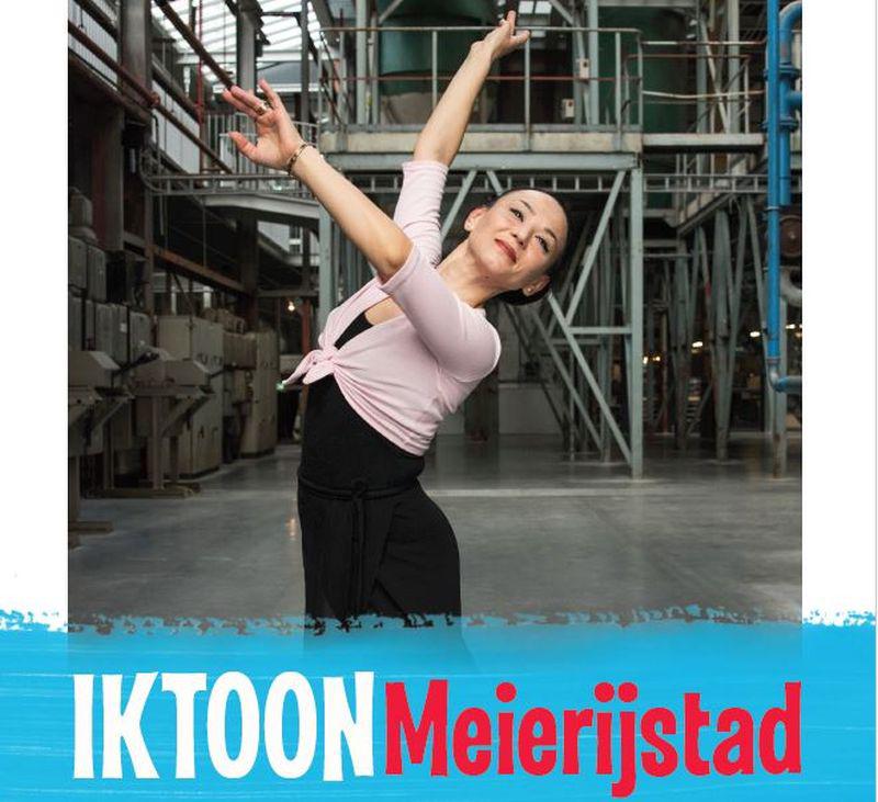 Phoenixcultuur