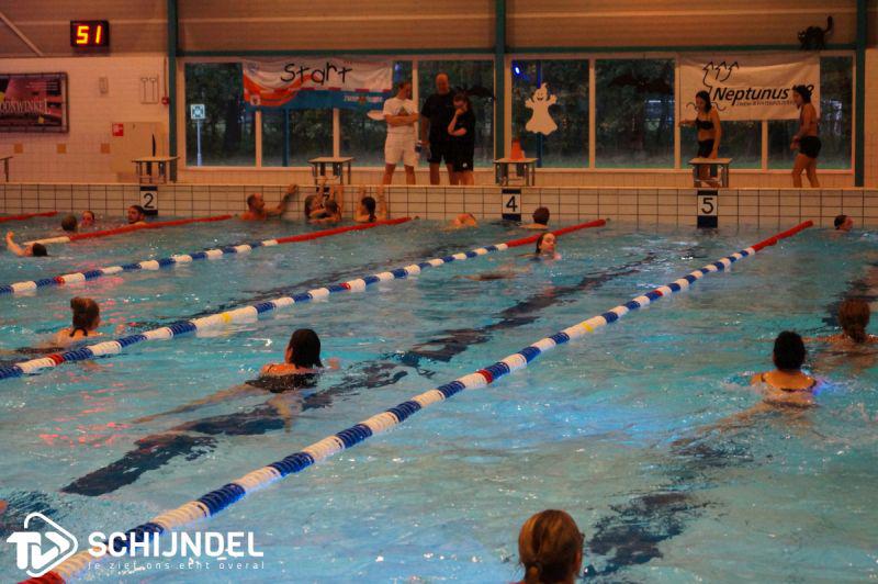 4daagsezwemmen 2