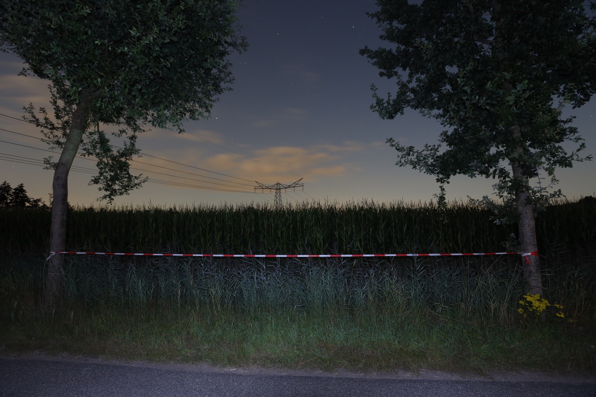 zoektocht1