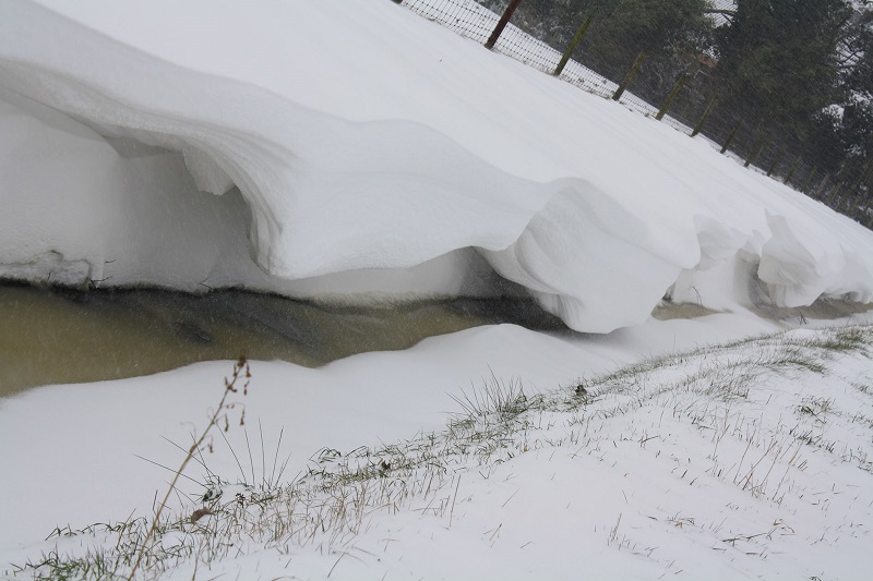 sneeuwduin foto paulvandervelden1
