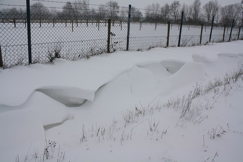 sneeuwduin foto paulvandervelden3