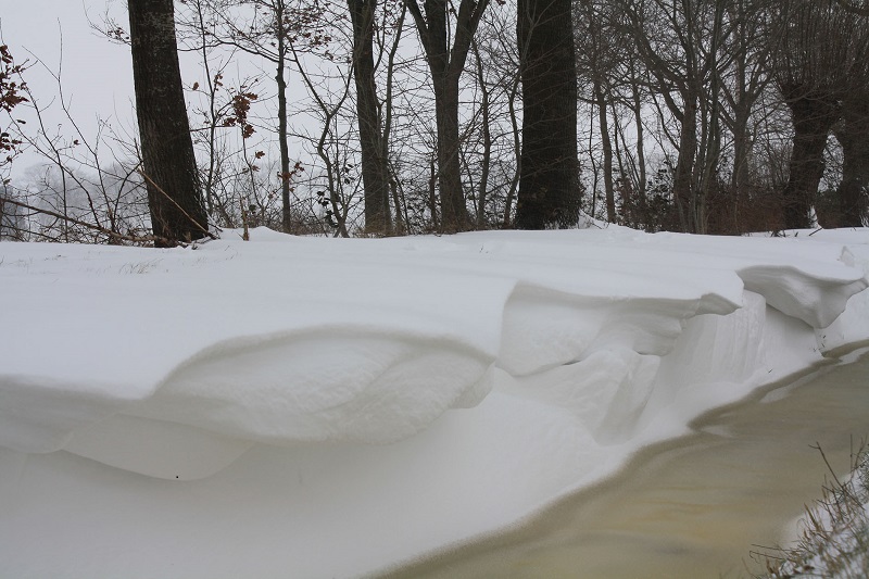 sneeuwduin foto paulvandervelden5
