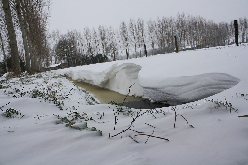 sneeuwduinfoto paulvandervelden7