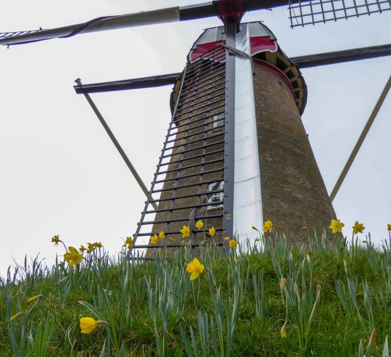 molenpegstukkenvoorjaar
