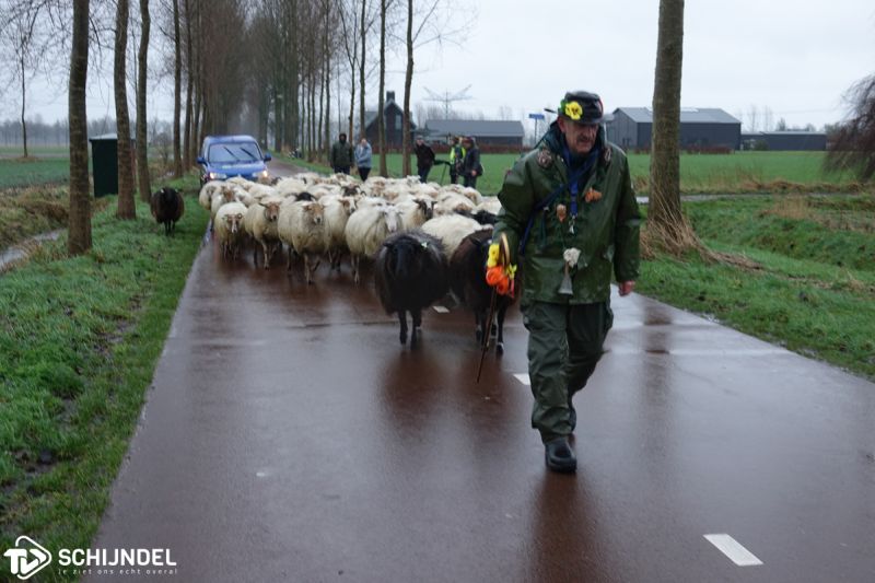 schapenintocht