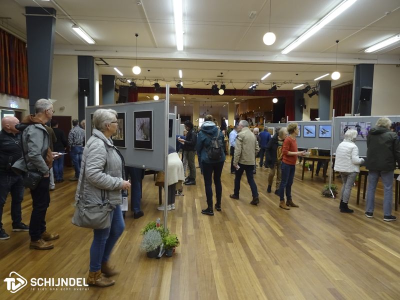 fototentoonstellingvink1