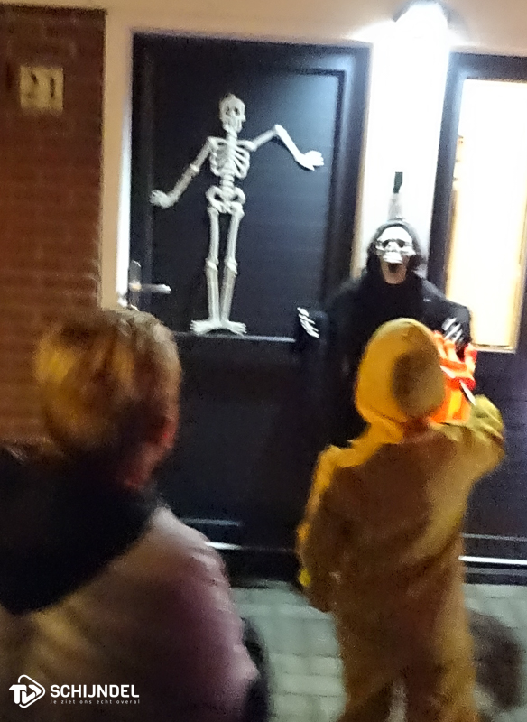 halloweenbloemenwijk2