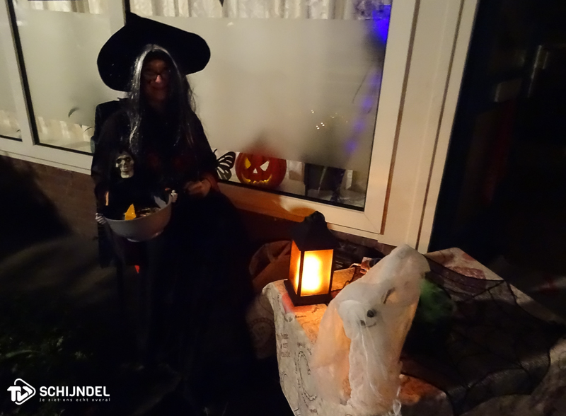 halloweenbloemenwijk4