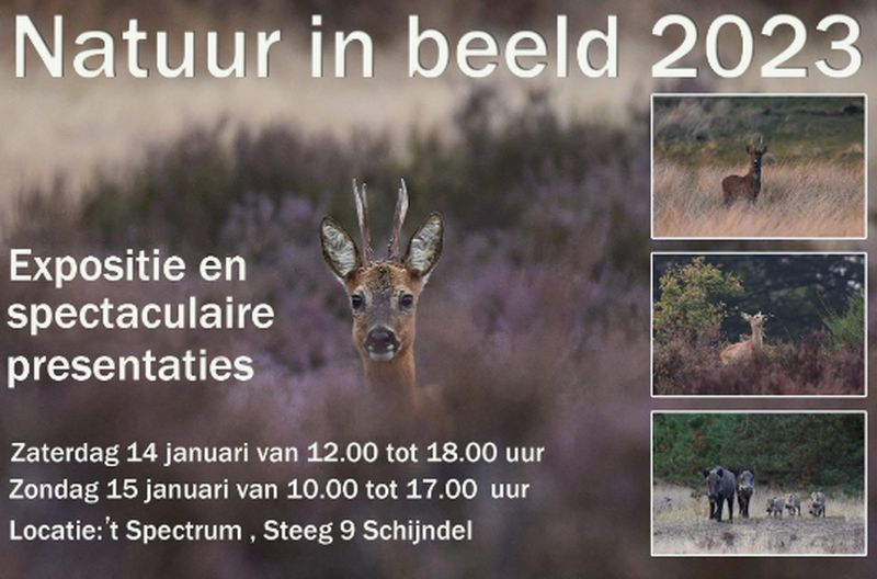 natuurinbeeld