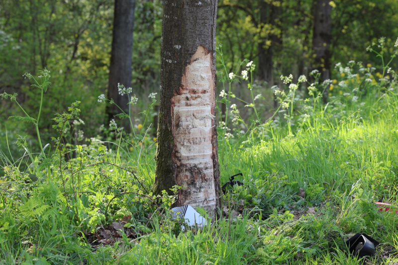 kanaaldijkzuidongeval3