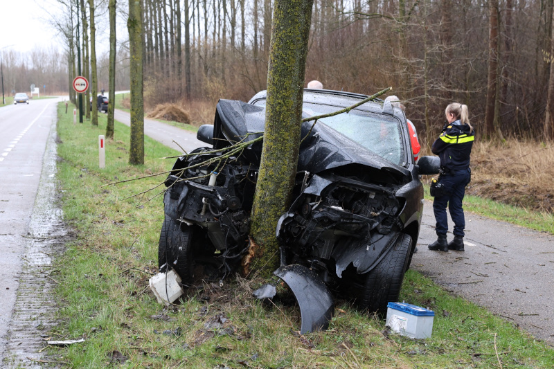 autosteeg3